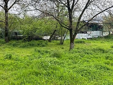 27 sot, Tikinti, Maklerlər narahat etməsin, Kupça (Çıxarış)