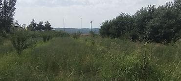 sebailde kiraye evler: 44 sot, Kənd təsərrüfatı, Mülkiyyətçi, Kupça (Çıxarış) — 8