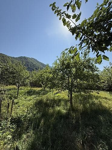 qubada torpaq satilir 2026: 3 sot, Tikinti — 1