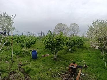 bilecer kiraye evler: Xaçmaz, 65 kv. m, 3 otaqlı, Hovuzlu, İşıq, Su, Kanalizasiya — 5