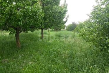 земельные участки на море: Kənd təsərrüfatı — 1