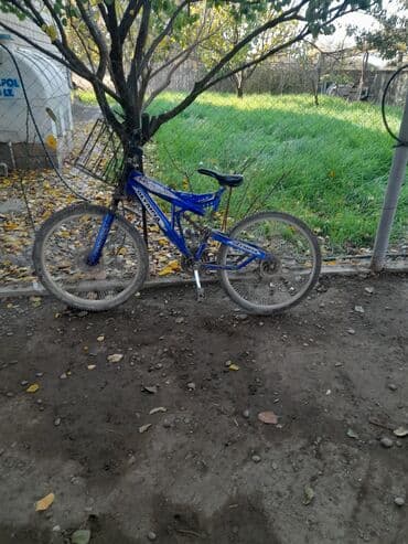 gelin paltarlari 2019: Toy paltarları — 5