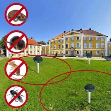 ilan gülü: İlan qovan, Yeni, Pulsuz çatdırılma — 1