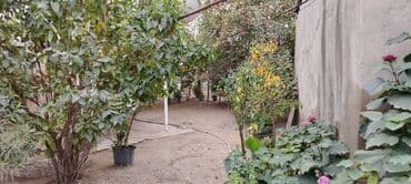 xacmazda dasinmaz əmlak: 2 otaqlı, 70 kv. m, Kredit yoxdur, Orta təmir — 15