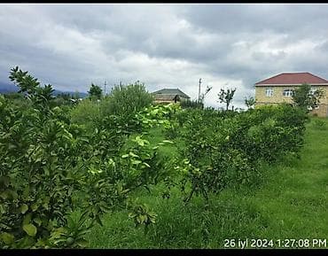 1 otagli evler: 65 kv. m, 10 otaq, Artezian quyusu — 9