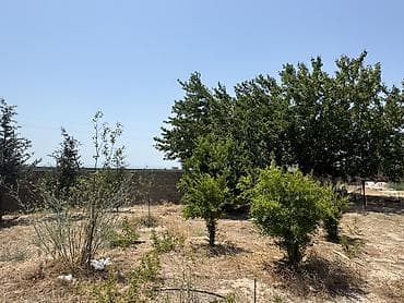topaq: 12 sot, Tikinti, Mülkiyyətçi, Kupça (Çıxarış), Texniki pasport — 7
