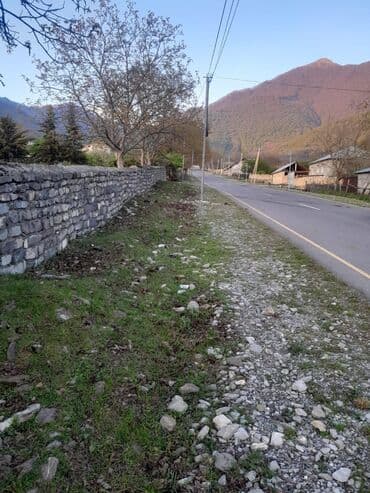 20 sot, Biznes üçün, Müqavilə — 3