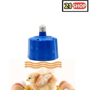 электрическая машинка для стрижки овец: İsdilik verən fan lampa İnkubator ehtiyat hissələrinin satışı. Ünvan — 1