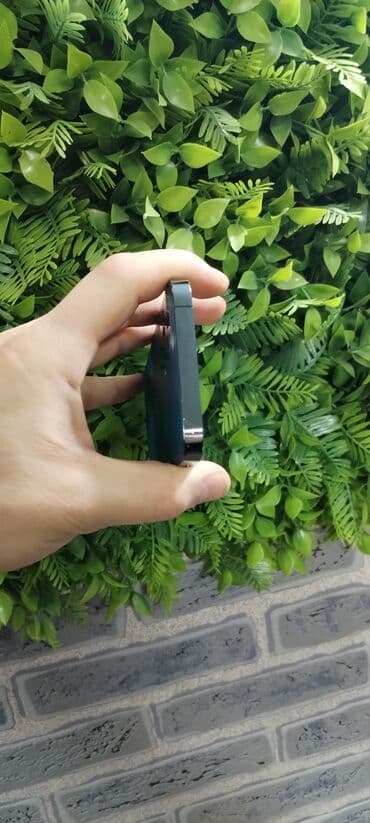 Техника для кухни: IPhone 12 Pro — 5