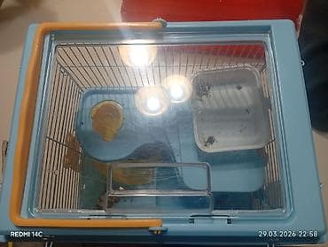 Qəfəslər: Mavi rəngli quş və xomyak üçün qəfəs ölçü:uzunluğu 26smhündürlük — 2