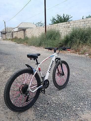 rambo velosiped: İSMA Falcon dağ velosipedi - Korpus: yüngül alüminium rəngli — 2