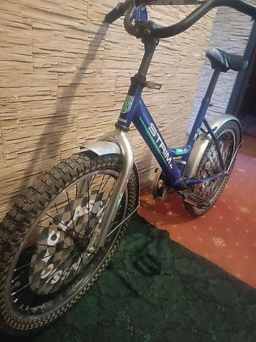 Uşaq velosipedləri: Uşaq velosipedi – STRIM VELO Classic - Rəng: göy, kontrast — 2