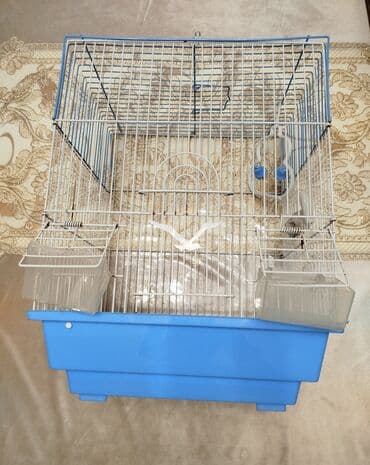 qəfəslər: Satılır çox az işlənib Mavi rəngli plastik altlığı və ağ metal toru — 2
