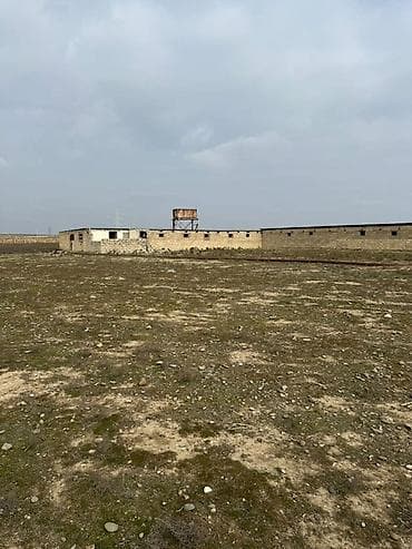 mingecevir kiraye: Torpaq sahəsi icarəyə verilir. Hövsan qəsəbəsində yerləşən ferma — 9