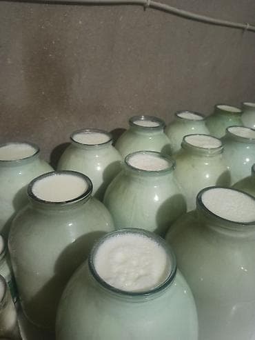 3 kq qatiq - 3.50 manat 700 qram qatiq - 1 manat Süd 1.20 manat lalafo.az -da 3 kq qatiq - 3.50 manat 700 qram qatiq - 1 manat Süd 1.20 manat