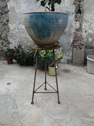 monstera bitkisi: Dibçək üçün dekorativ metaldan hazırlanmış ayaqlıq istədiyiniz rəngə — 3