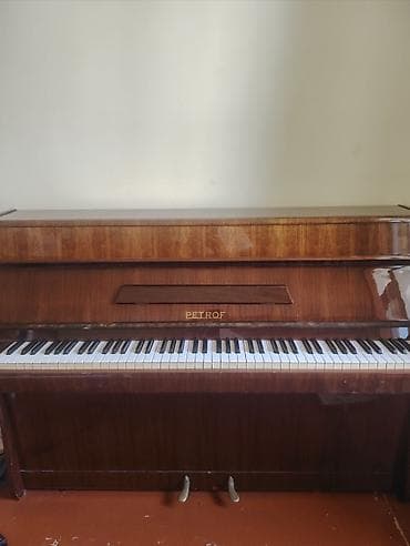 gitara balaca: Piano, Petrof, Akustik, İşlənmiş, Ünvandan götürmə — 1