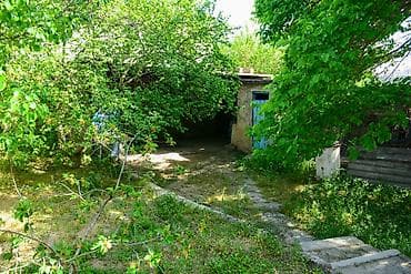 turkanda bag evleri: Bağ evi və torpaq sahəsi - Geniş həyət: yaşıllıqla əhatəli, meyvə — 2