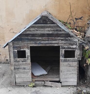 İt yuvası normal veziyyetde lalafo.az -da — 2 İt yuvası normal veziyyetde — 2