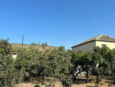 suraxanida torpaq satilir: 4 sot, Tikinti, Makler, Kupça (Çıxarış) — 2