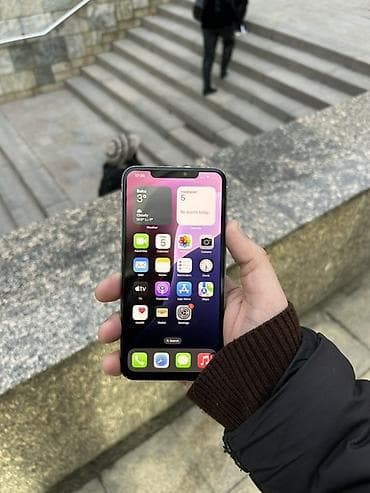 pride dinamik: IPhone Xs Max, 256 GB, Matte Silver — 6