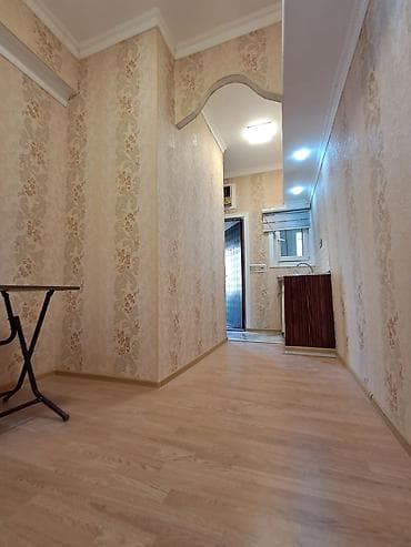 kiridit: 1 otaqlı, 15 kv. m, Kredit yoxdur, Yeni təmirli — 3