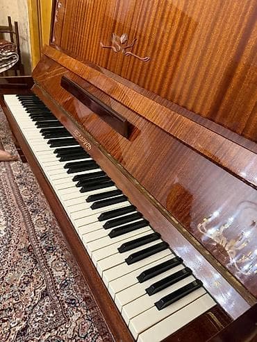 Musiqi alətləri: Piano, Boss, Akustik, Yeni — 2