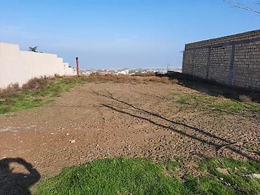 10 sot, Tikinti, Mülkiyyətçi, Kupça (Çıxarış)