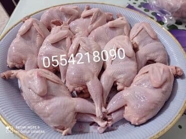 Quş: Xaiş edirəm diqqətli oxuyun Bi̇ldi̇rçi̇n təbii şəraitdə saxlanılan — 2