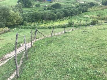 memar ecemi kiraye ev: 5 sot, Tikinti, Maklerlər narahat etməsin, Kupça (Çıxarış) — 10