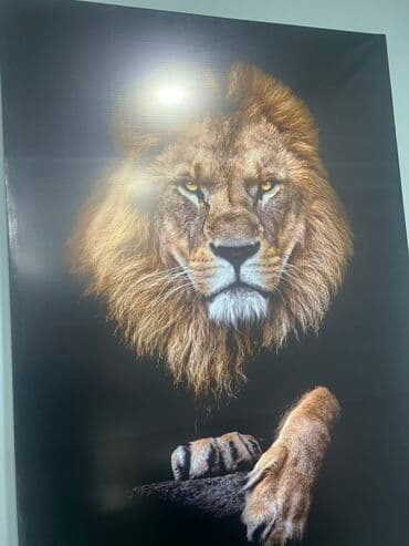 реклама офисной мебели: Ofis mebel dəsti – direktor masasının komplekti - Geniş iş masası — 6