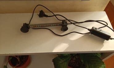 azerbaycanca pişik adlari: Salam! 1 şəkil -Akvarium - 35 manata 40 idi 2 şəkil -filtr - 16 — 3