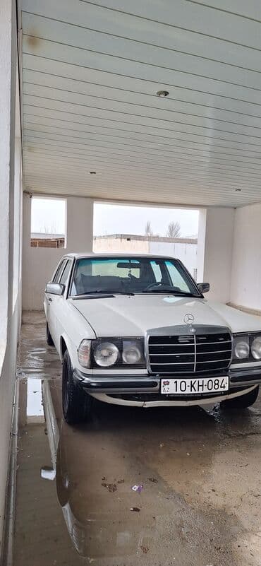 yeşqa mersedes: Mercedes-Benz 250: 2.5 l | 1981 il Sedan — 2