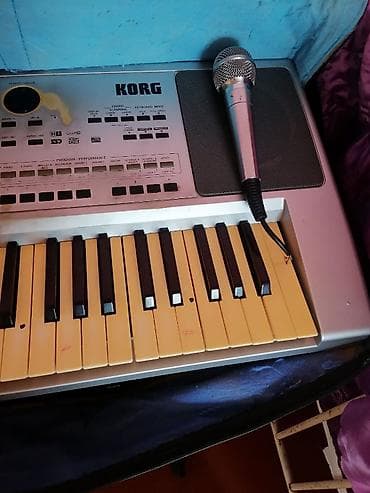 İdman və hobbi: Sintezator, Korg — 5