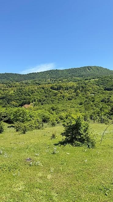 torpaq satilir quba: Tikinti — 6