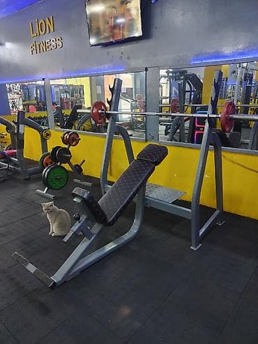 Trenajor Naklon skamya super vezyededi lalafo.az -da Trenajor Naklon skamya super vezyededi