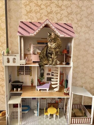 кукольный домик: Продам большой кукольный домик 🏠✨ 3 этажа, с мебелью. Очень красивый и — 1