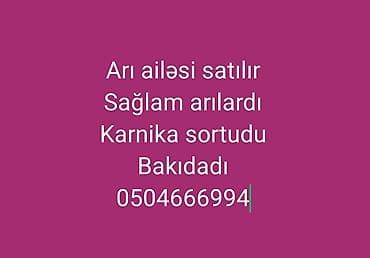 heyvanla barter: Karnika növlü arı ailələrinin satışı — 1