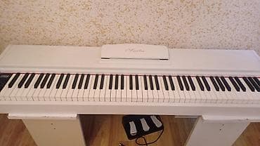 pa3x pro: Piano, Rəqəmsal, Yeni, Ünvandan götürmə, Ödənişli çatdırılma — 9