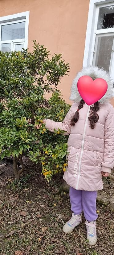 dəst geyimlər: Kurtka, Qız üçün, 12 - 14 yaş, Lc Waikiki — 1