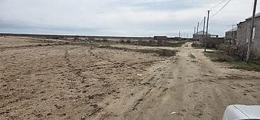 astara rayon: 12 sot, Mülkiyyətçi, Kupça (Çıxarış) — 8