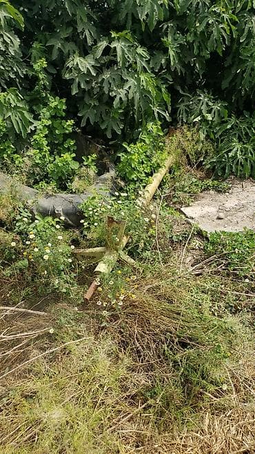 Ticarət tərəziləri: 700satilir hamisi kom — 5