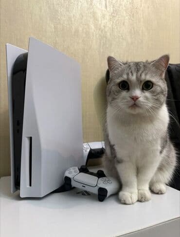 nord 4: 2 disk şəkildə gördüyünüzdür📀📀 2 Pult✅🎮🎮 Mortal kombat 11🕹️ Rdr2🕹️ — 2