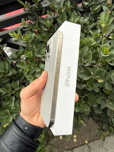 кнопочный телефон: IPhone 16 Pro — 3