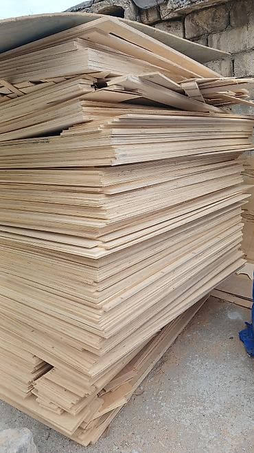 təbii bal: Diktlər, 15 mm — 3