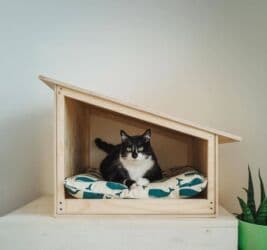 домики для кошек баку: -Sifarişlə İt Damı Hazırlayırıq -Qiymət Ölçüsünə Görə Dəyişir — 11