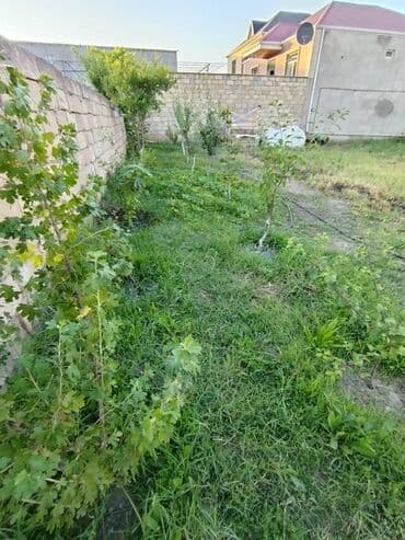 biləcəridə torpaq satılır: 5 sot, Tikinti, Mülkiyyətçi, Bələdiyyə — 9