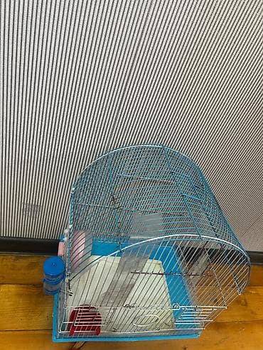 Quşlar: Böyük ölçülü qəfəs +yem qabı su qabı və kaçelli daxil 20 azn Orta — 6