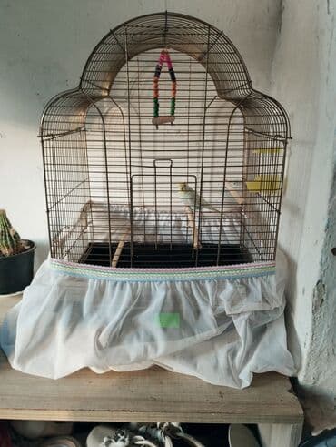 сетка для клетки попугая: Dəyirmi günbəz formalı, qəhvəyi metal çubuqlu quş qəfəsi. Qəfəsin — 4