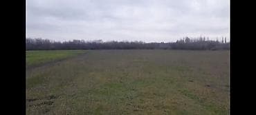 genclik kiraye evler: Kənd təsərrüfatı — 7